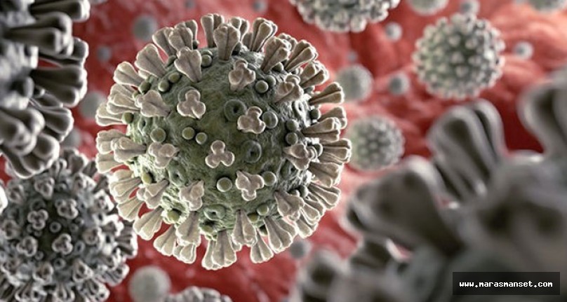 Türkiye’de son 24 saatte koronavirüsten 185 kişi hayatını kaybetti