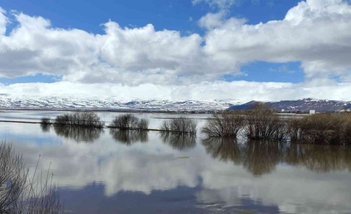 Nehir taştı, Ardahan ovası sular altında kaldı