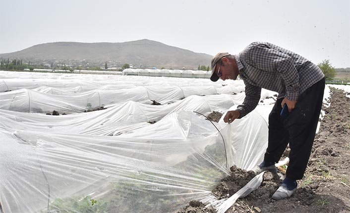 Kahramanmaraş'ta seraları zarar gören çiftçiler destekle yeniden üretime başladı