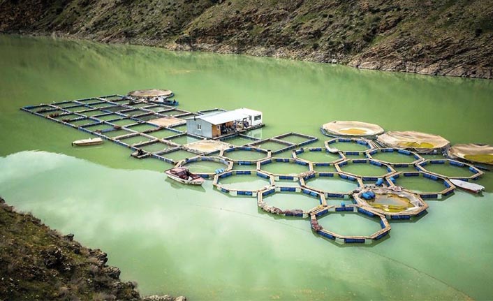 Kahramanmaraş’ta su ürünleri ihracatı artıyor