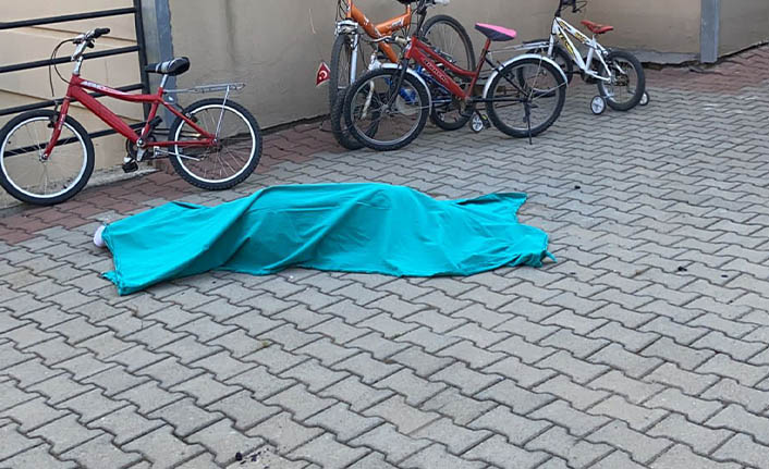 Kahramanmaraş'ta çatıdan düşen kişi hayatını kaybetti