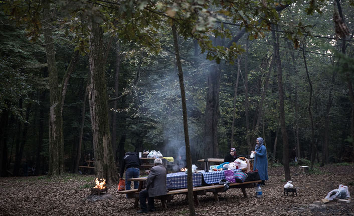 Kahramanmaraş’ta ormanlık alanlara girişler ve piknik yapmak yasaklandı