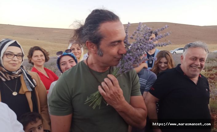 Şarkıcı Kıraç, Kahramanmaraş'ta lavanta hasadına katıldı