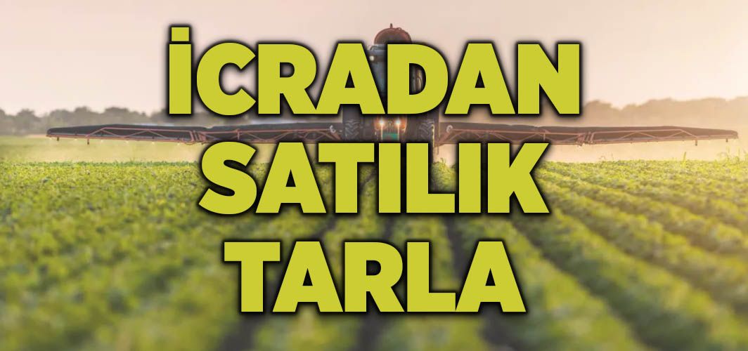 Adana Ceyhan’da 54 dönüm tarla icradan satılık